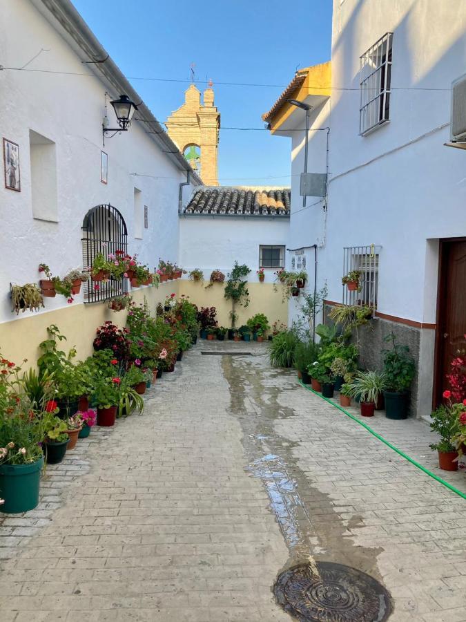 Apartamento Nuevo En Sierra Sur Sevilla Villanueva de San Juan Eksteriør bilde