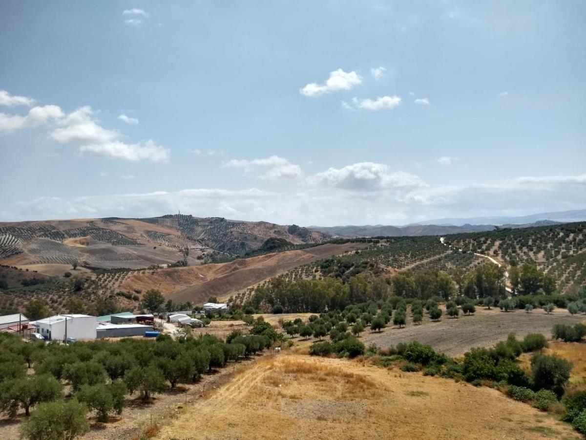Apartamento Nuevo En Sierra Sur Sevilla Villanueva de San Juan Eksteriør bilde