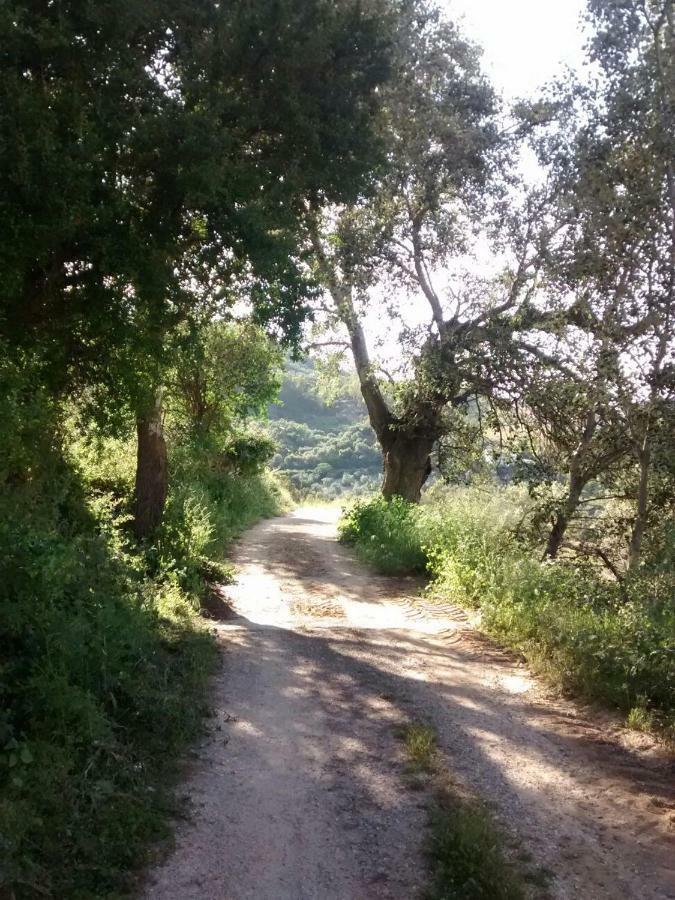 Apartamento Nuevo En Sierra Sur Sevilla Villanueva de San Juan Eksteriør bilde